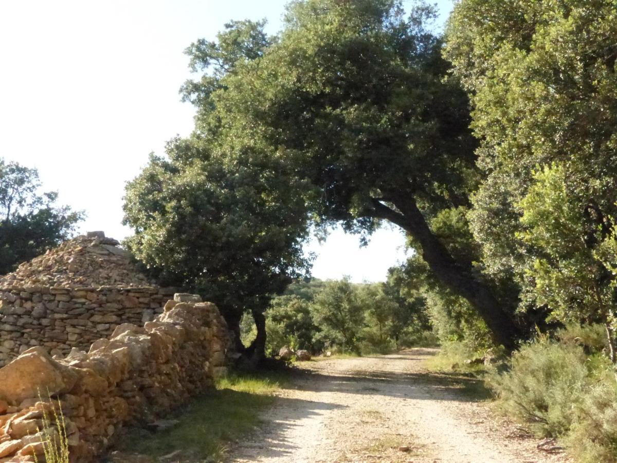 Villa Molino Dolz à La Iglesuela del Cid Extérieur photo